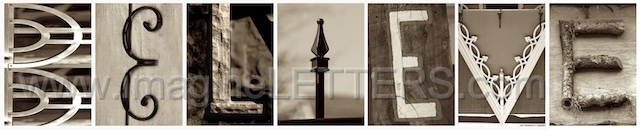 Wall_Art_Alphabet_Photography_Art_ 306.jpg